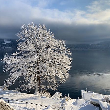 Seehaus Weiss Rothenthurn Екстериор снимка